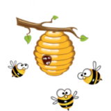 Récolte du miel – mai 2019