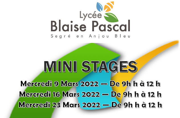 Mini Stages 2022